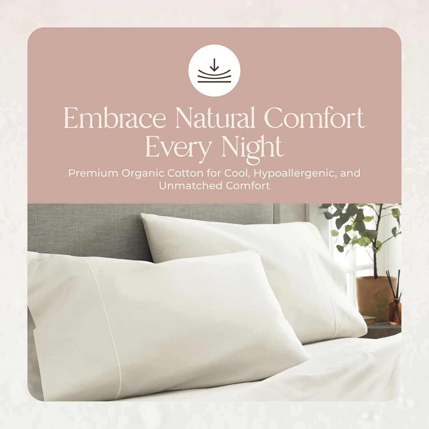 100% Organic Cotton Sheets Queen Size - GOTS Certified Organic Bed Sheets with Deep Pocket 500 Thread Count and Cozy Sateen Weave Gets Softer with Each Wash - Luxury 4 Piece Set (Natural, Queen)