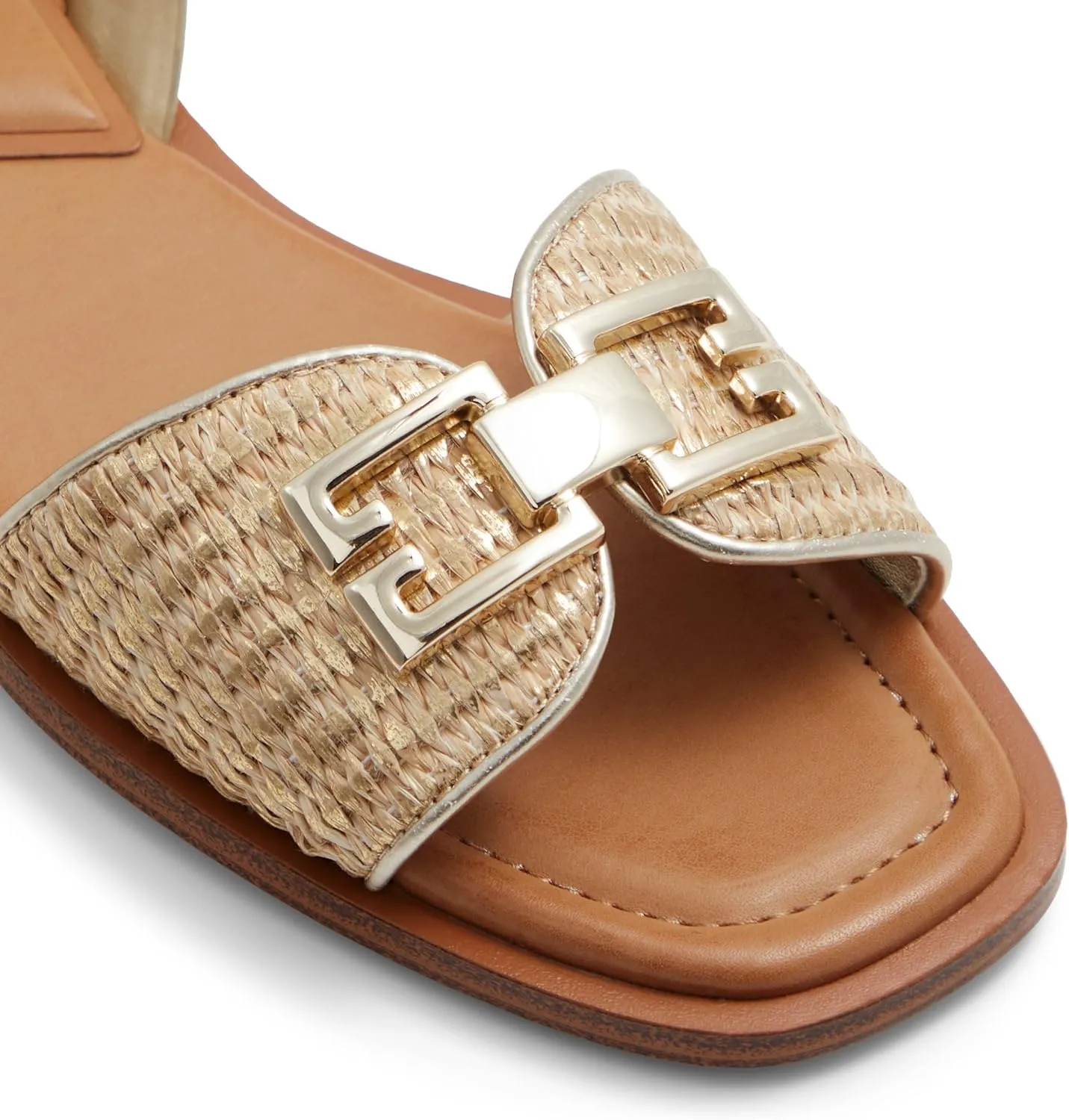 ALDO Women's Agreinwan Flat Sandal