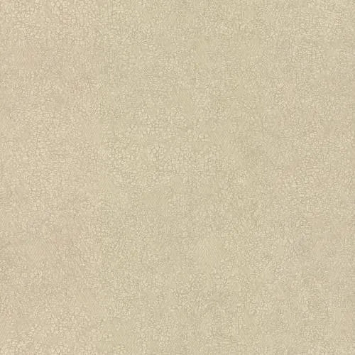 Antonina Vella Weathered Cream Wallpaper