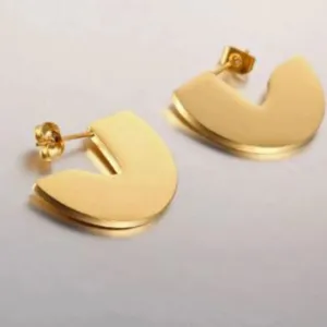Elegant Earrings