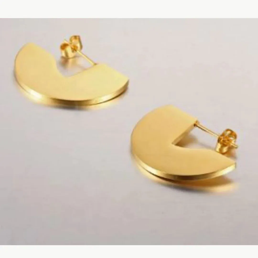 Elegant Earrings
