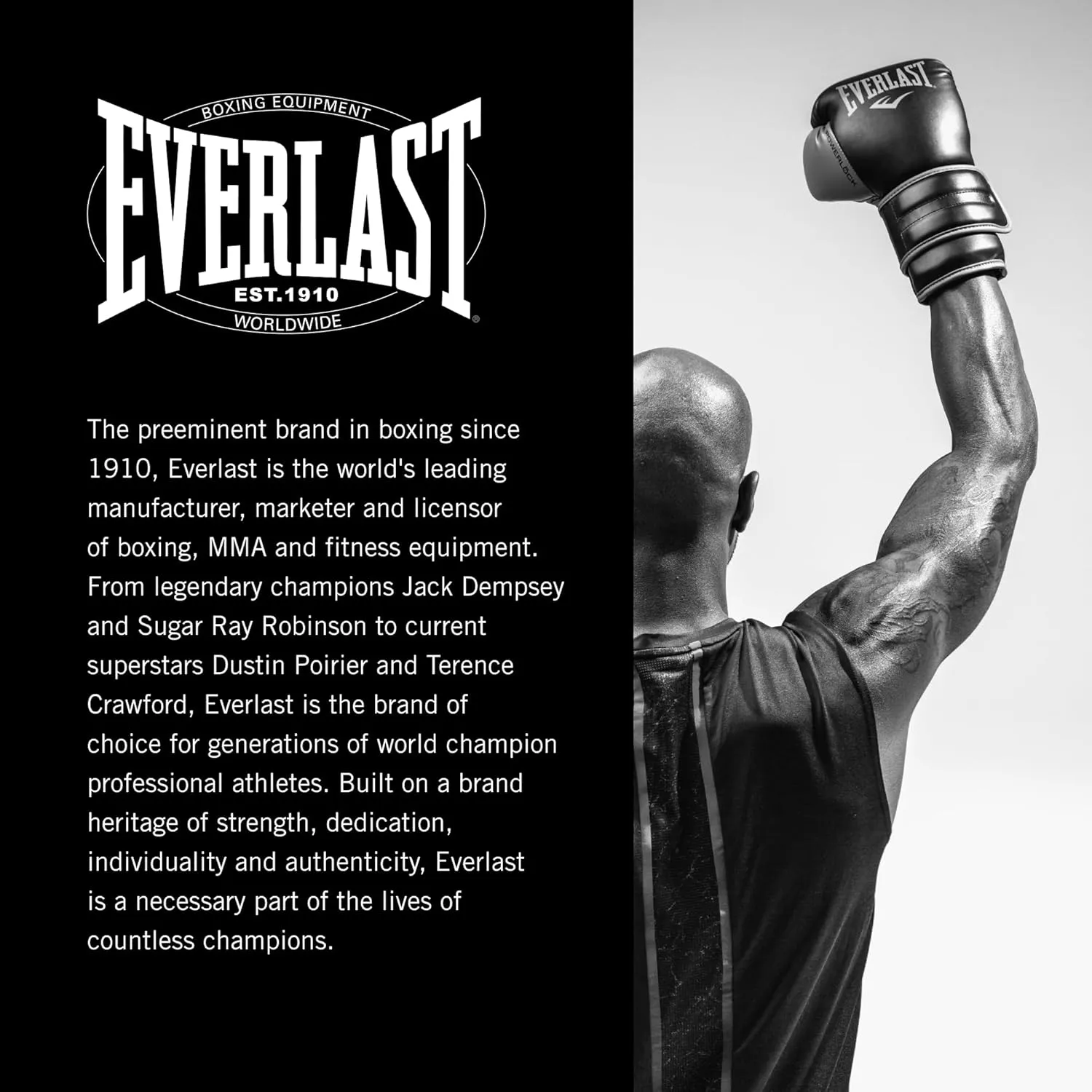 Everlast Elite Boxing Shoes: Your Ultimate Training Companion for Excellence and Durability Boxing Shoes, Elite 2 Shoes.