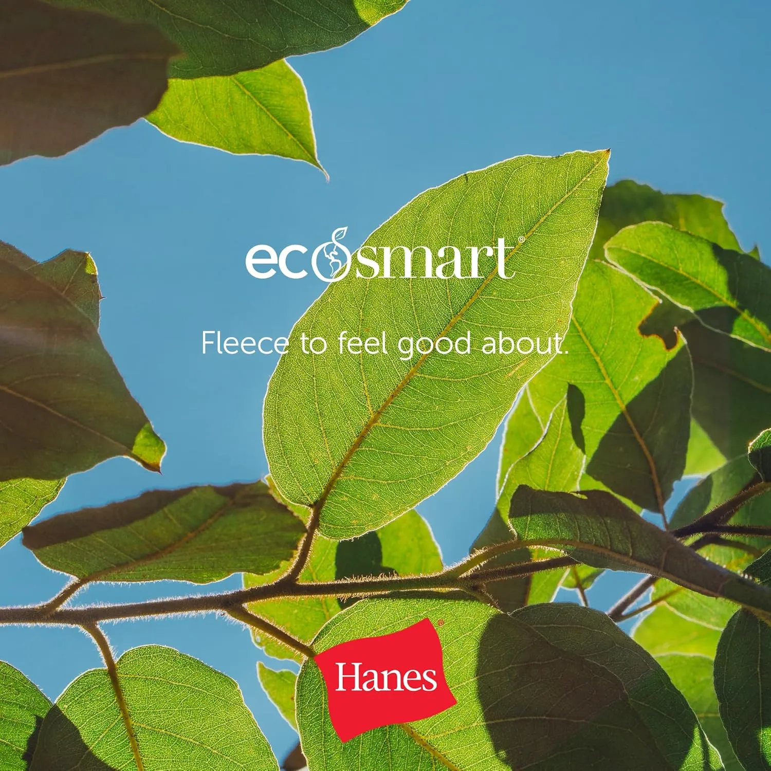 Hanes Women's Sweatpants, EcoSmart Fleece Open Bottom Sweatpants for Women, Regular & Petite Sizes