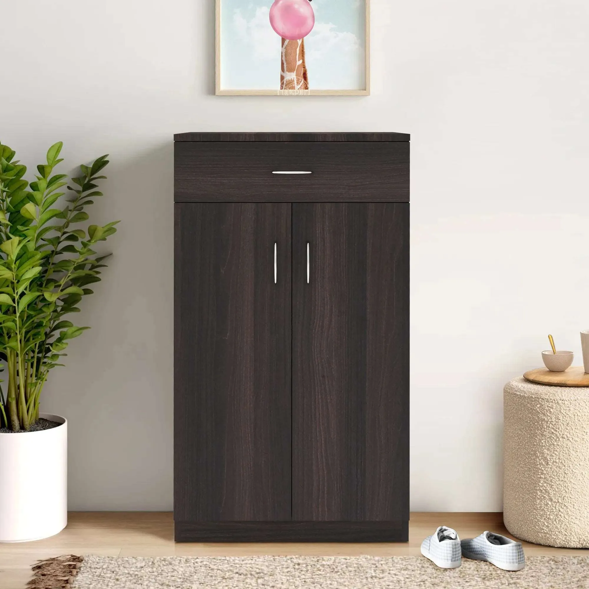Lewis 2 Door Shoe Rack / Multipurpose Cabinet with Drawer (Brown)