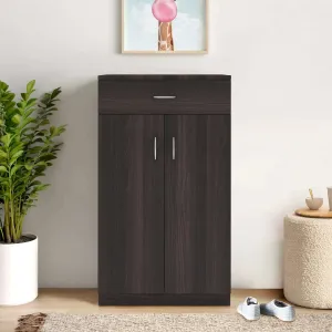 Lewis 2 Door Shoe Rack / Multipurpose Cabinet with Drawer (Brown)
