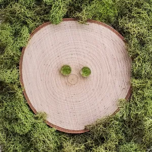 Moss Flat Studs