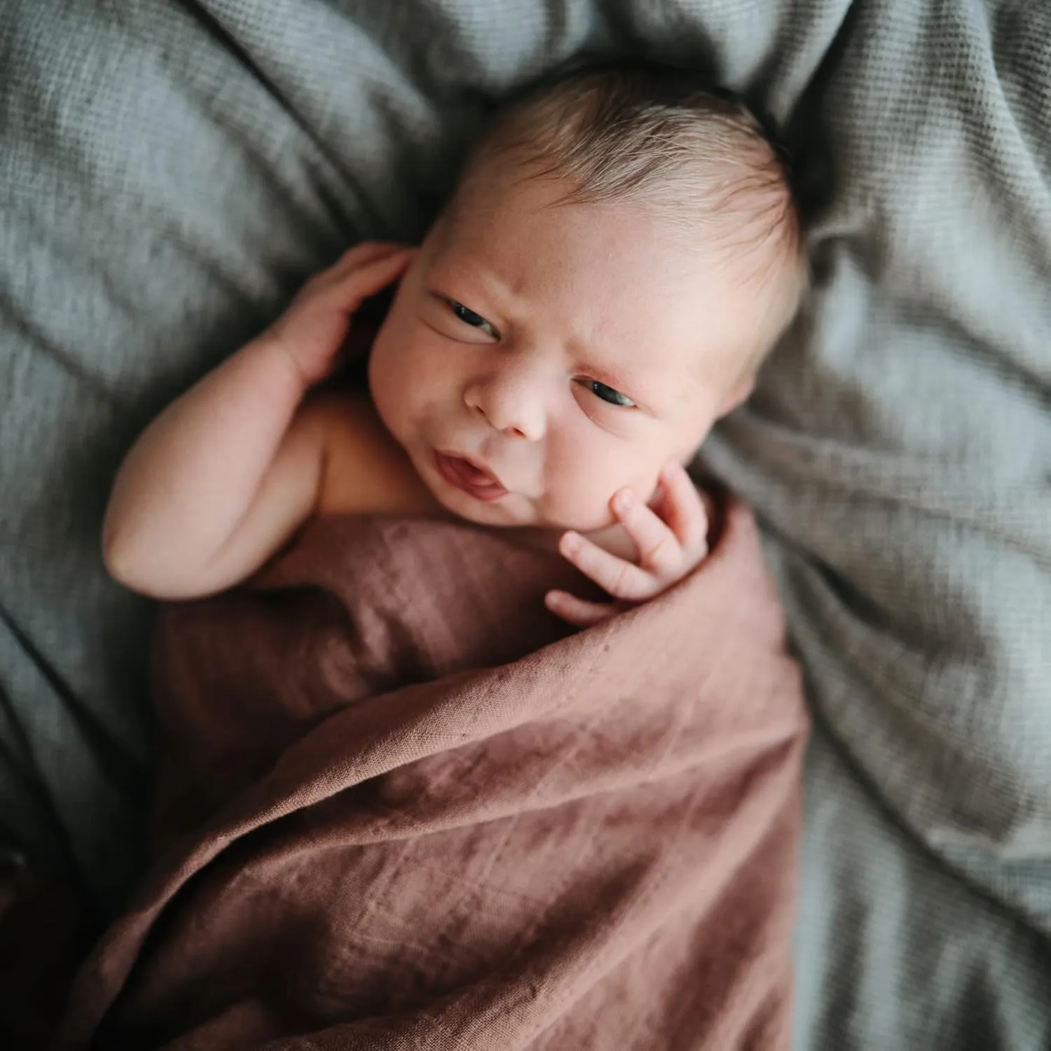mushie Muslin Baby Swaddle Blanket | 100% Organic Cotton (Cedar)