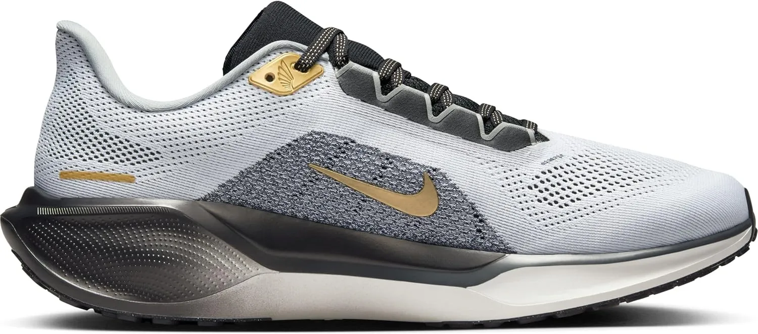 Nike Men's Road Running Shoe