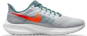 Nike Men's Sport Trail Running Shoe
