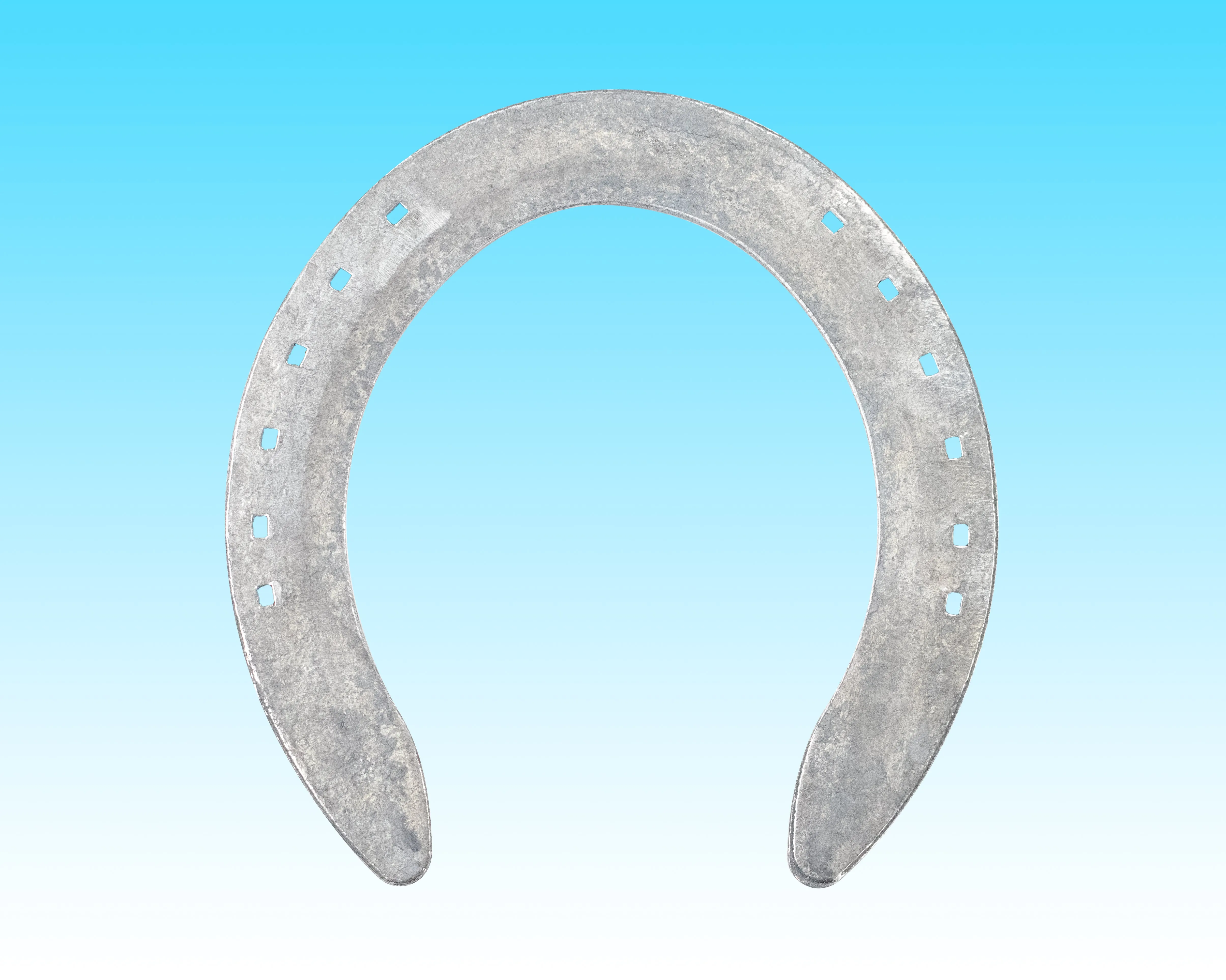 Steel Heavy Training Flat Hind (15 Pairs/Box)