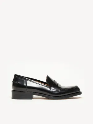 The Lucido (Sample Sale)