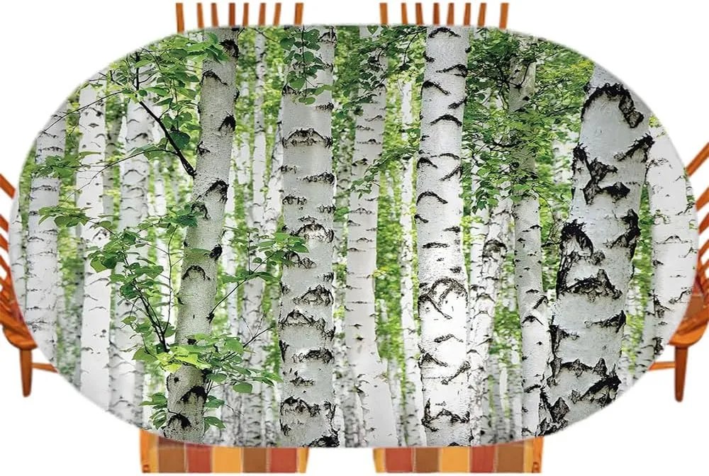 Woodland Fitted Table Cover, Birch Trees in The Forest Summertime Wildlife Nature Outdoors Themed Picture, Indoor/Outdoor Waterproof Tablecloth, Patio and Kitchen Dining, Fits 48" x 72" Table
