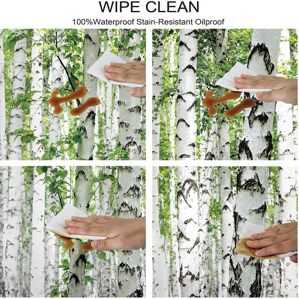 Woodland Fitted Table Cover, Birch Trees in The Forest Summertime Wildlife Nature Outdoors Themed Picture, Indoor/Outdoor Waterproof Tablecloth, Patio and Kitchen Dining, Fits 48" x 72" Table